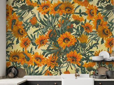Summer Dreams - Gazania