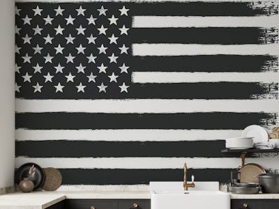 USA Flag Black And White