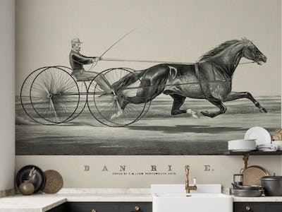 Horse Race Historic Art