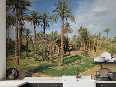 Palmtree Oasis in Morocco