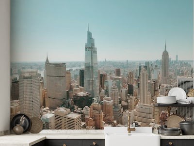 Manhattan Skyline View