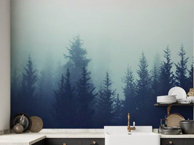 Misty pine forest II