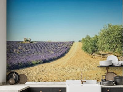 Fields in Provence
