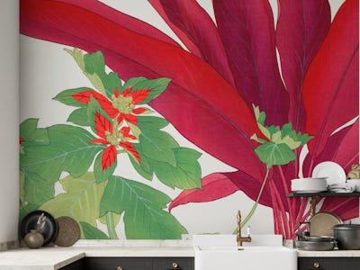 Vintage Poinsettia Floral