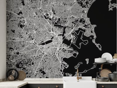 Boston Black Map
