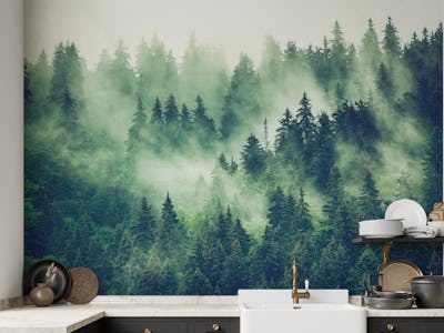 Misty fir forest