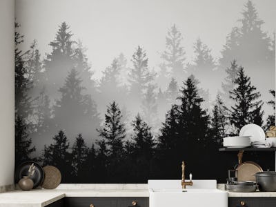Black White Forest Dream 1
