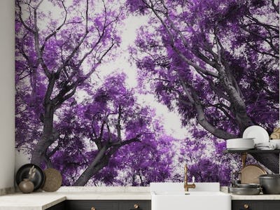 Purple Trees Dream 1