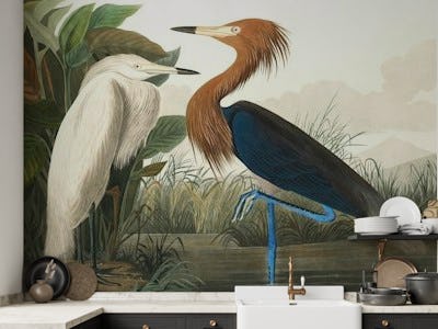 Vintage Tropical Birds