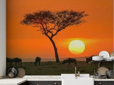 Safari sunset