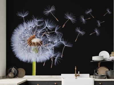 Dandelion Blowing