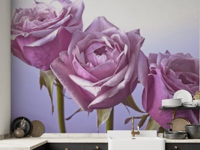 The Allure of Purple Roses