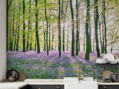 Enchanting Bluebell Forest