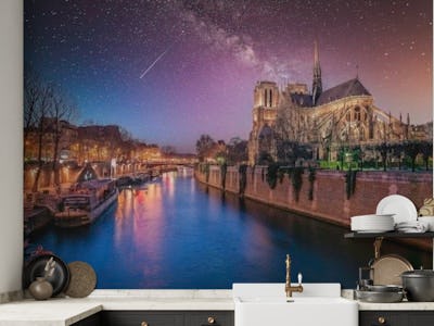 Notre-Dame Starry Night