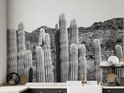 Cactus Oasis 4