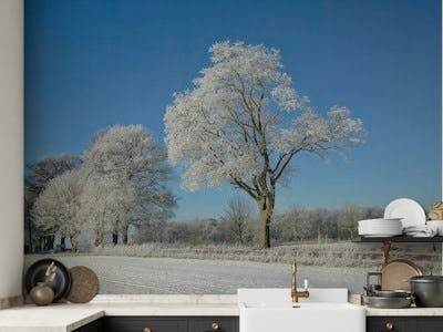 Winter Landscape Rural Germany