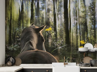 sound are forest