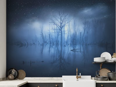 Misty lake