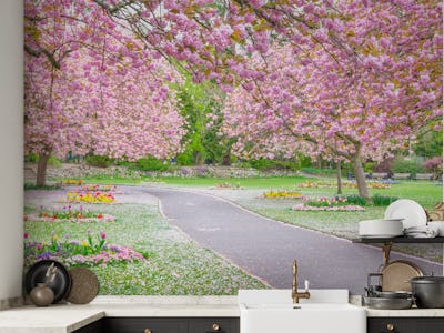 Blossom Park