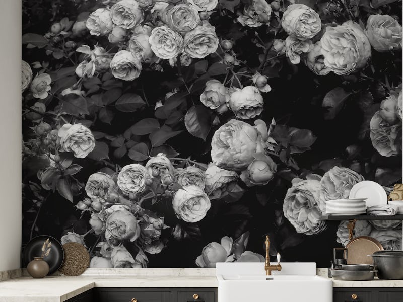 Rose Bush