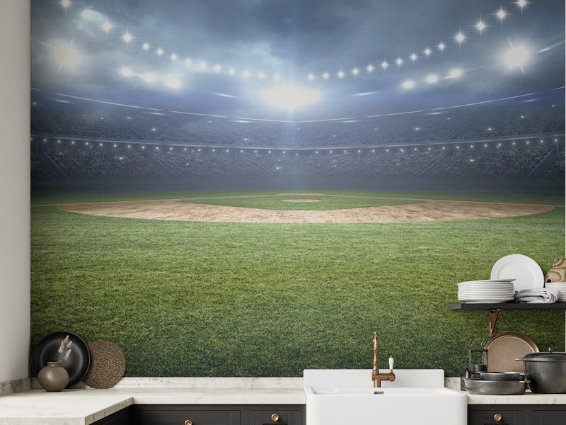 Baseball stadium