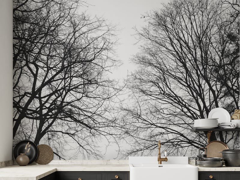 Tree Silhouettes 1