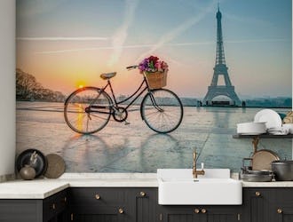 Bicycle and Eiffel tower
