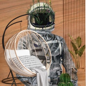 Spaceman Cacti