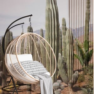 Cactus Oasis 1
