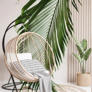 Palm Leaf Finesse 2