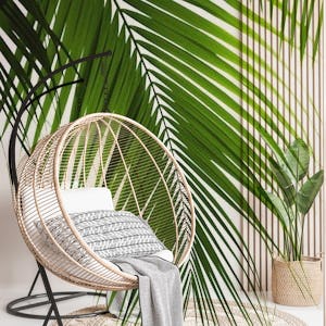 Palm Leaves Green Vibes 10