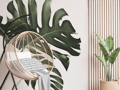 Tropical Monstera Finesse 4
