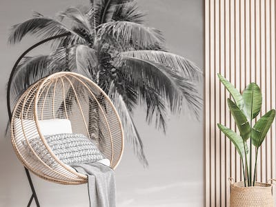 Palm Tree Beach Dream 3