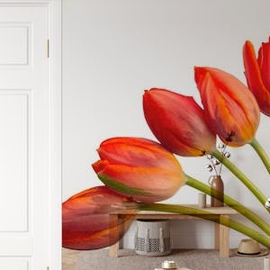 Tulip flowers 2