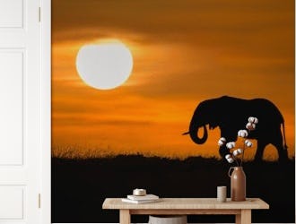Elephant at dawn