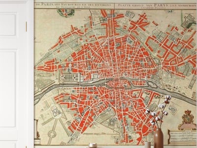 Vintage Paris Map Antique