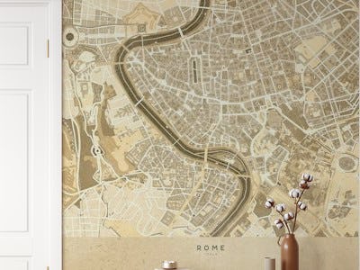 Sepia vintage Rome Italy map