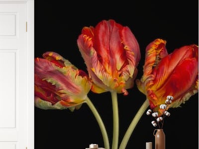 Rococo tulips 2