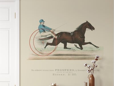 Vintage Trotting Horse Race