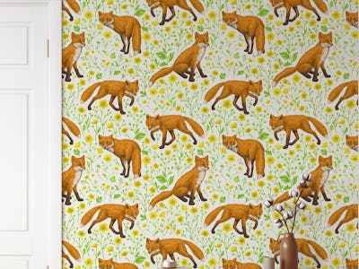 Foxes and buttercups