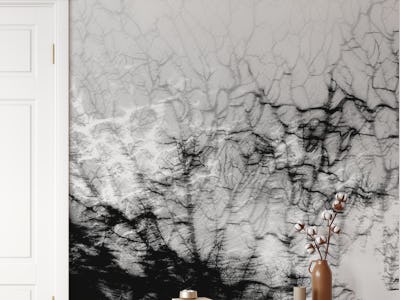 Black White Coral Reef