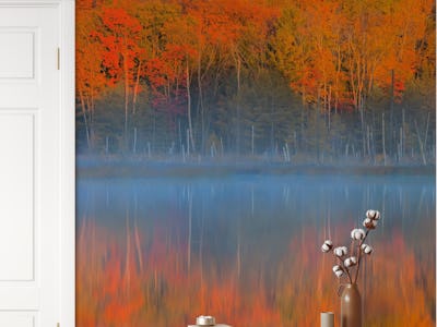 Pulses of the Autumn