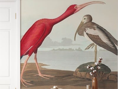 Tropical Vintage Birds