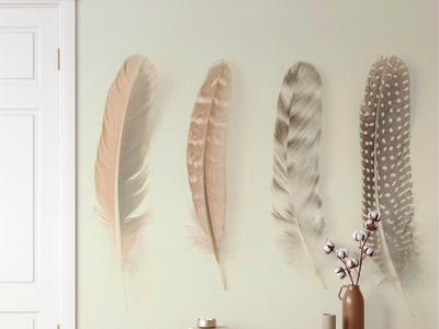 Study of Feathers