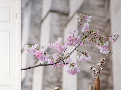 Spring Symphony
