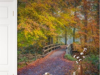 Bridge to Autumn