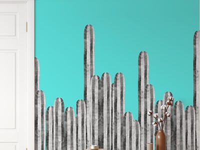 Cactus landscape 1