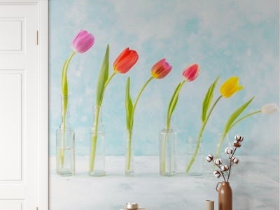 Glass Encased Tulips