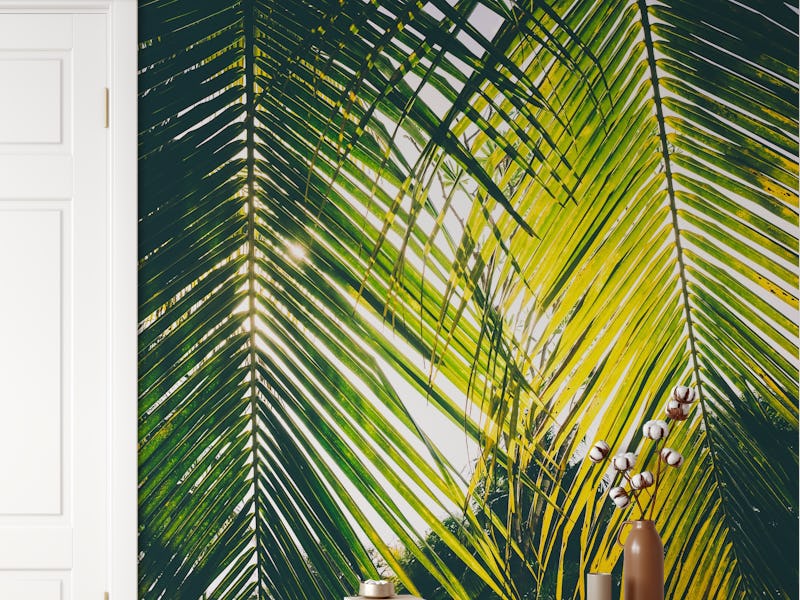 Caribbean Sunshade
