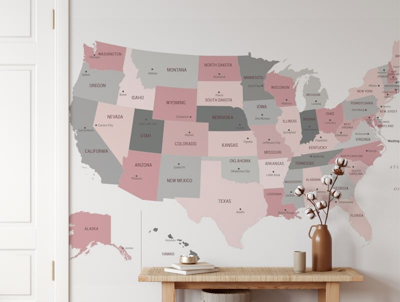 US Map Pink and Grey
